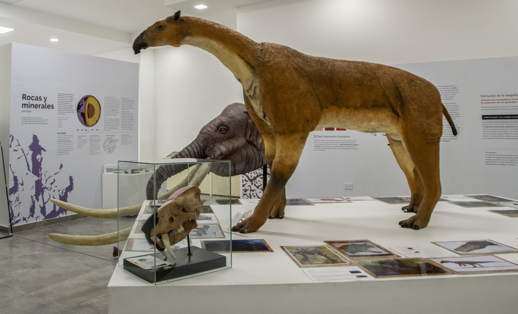 Museo Provincial De Ciencias Naturales Dr. Amado Bonpland